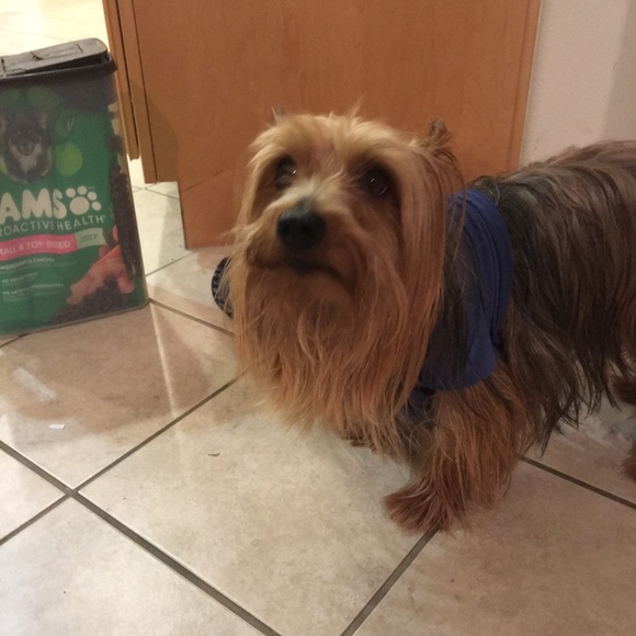 Meet your Posher, Cathy - Picture 2 of 5